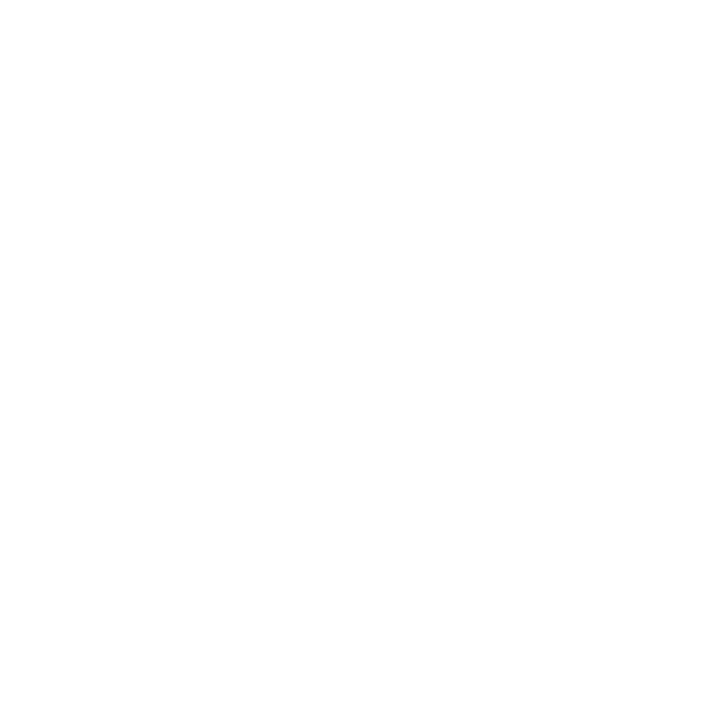 Web browser icon representing the IBO Player web portal